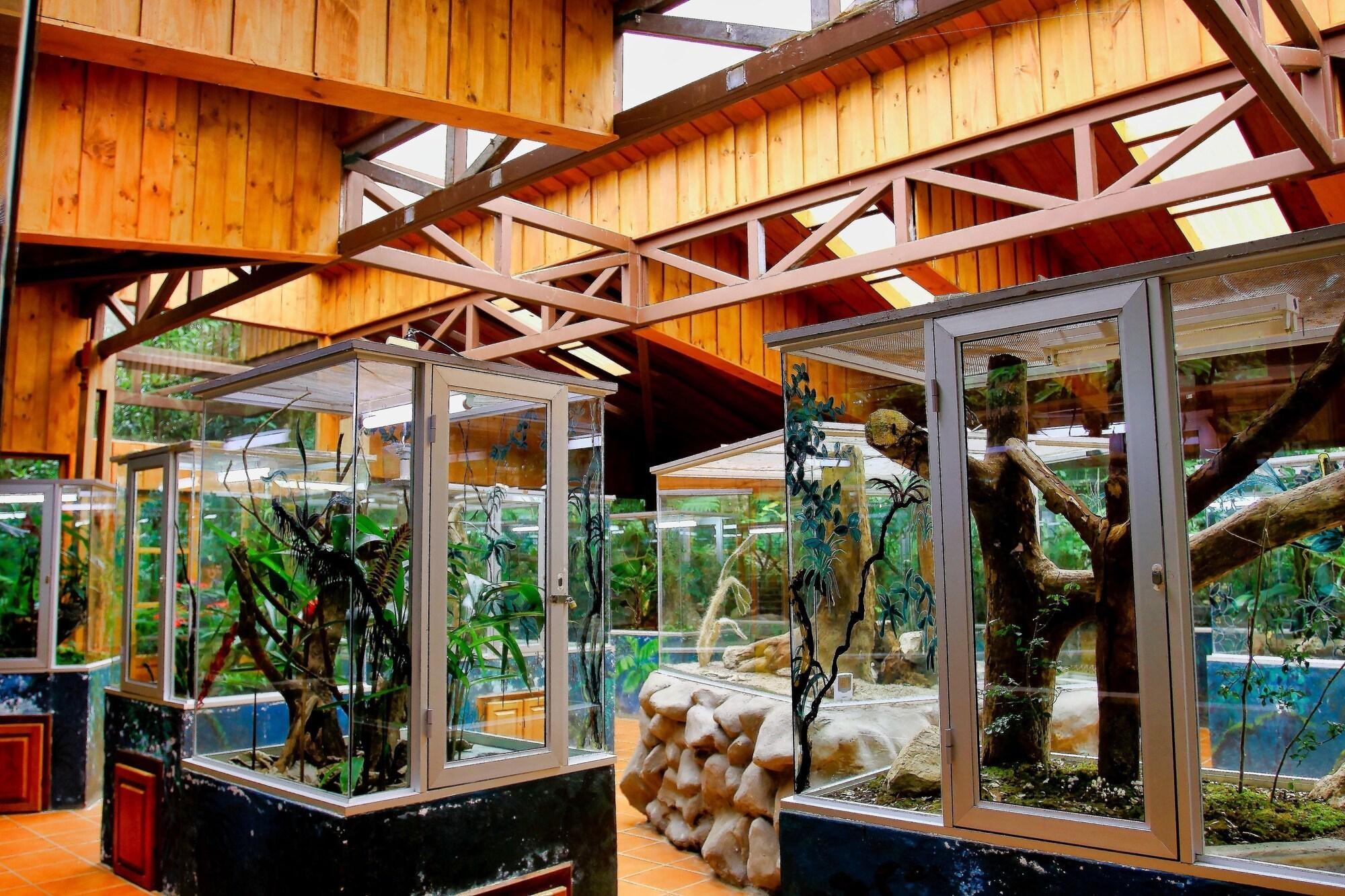 Ficus Sunset Suites Monteverde Exterior foto