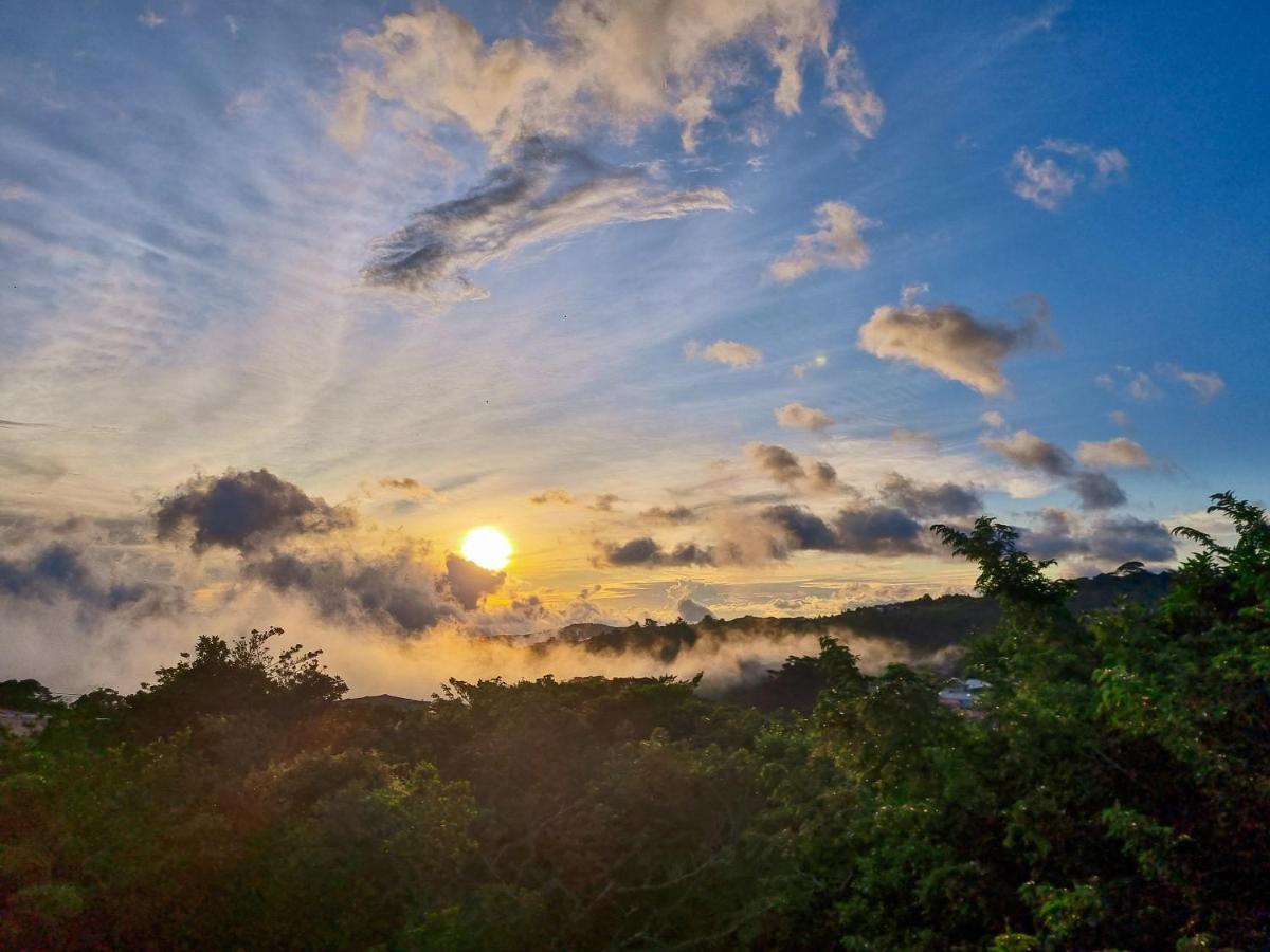 Ficus Sunset Suites Monteverde Exterior foto