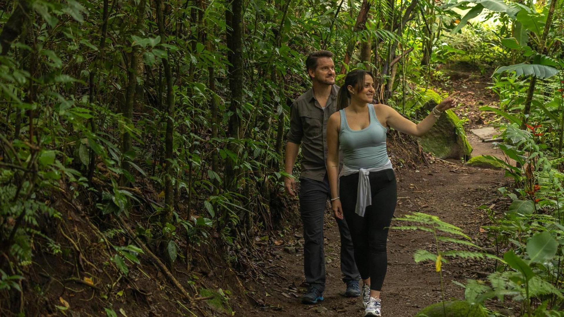 Ficus Sunset Suites Monteverde Exterior foto