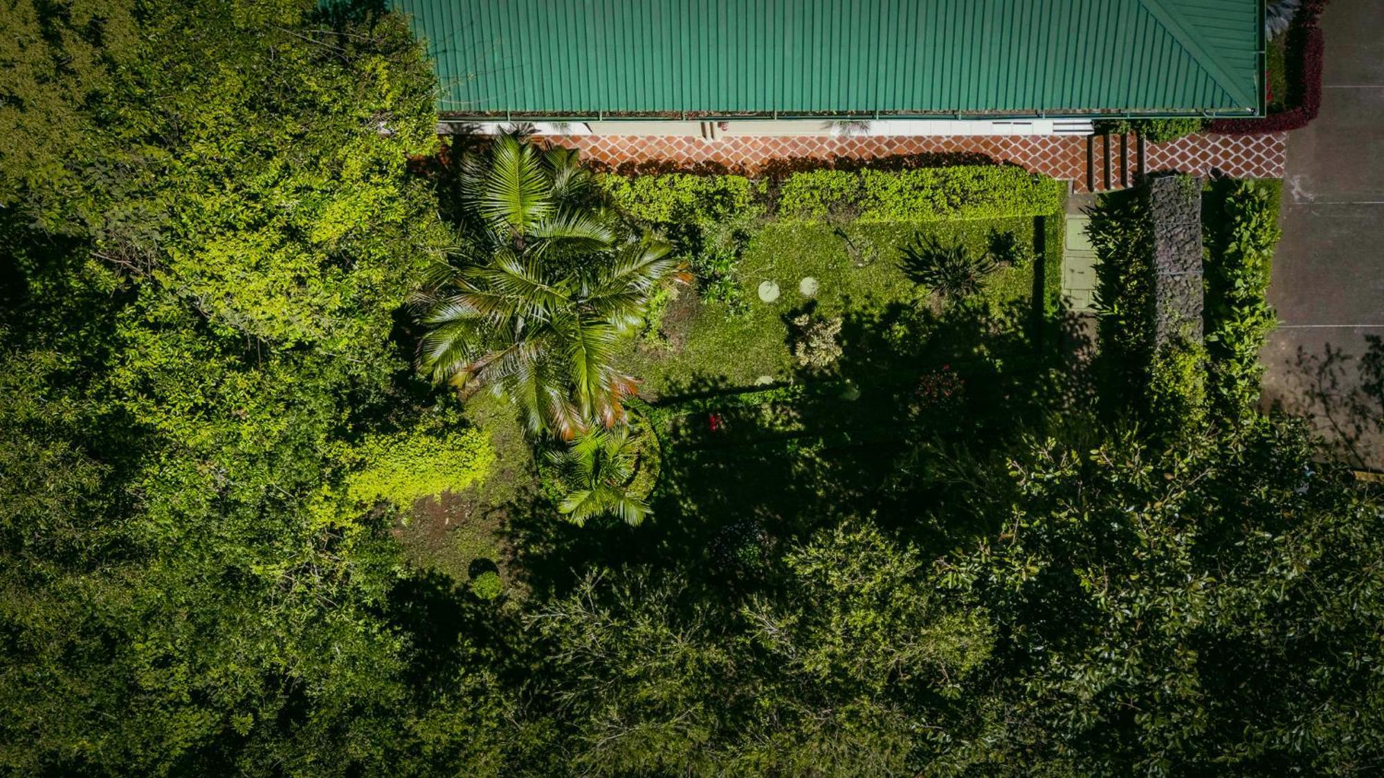 Ficus Sunset Suites Monteverde Exterior foto