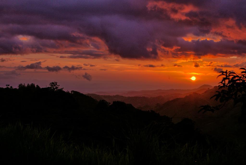Ficus Sunset Suites Monteverde Exterior foto